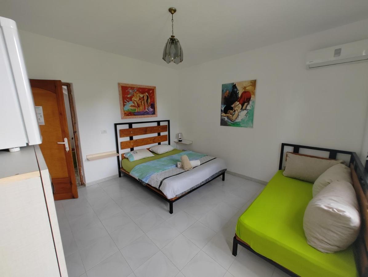 Green Garden Guesthouse Shkoder Luaran gambar